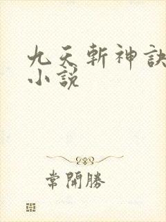 九天斩神诀林辰小说