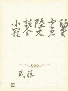 小说陆少的心尖宠全文免费阅读