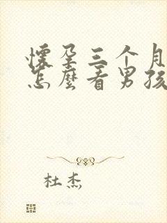 怀孕三个月彩超怎么看男孩女孩封面