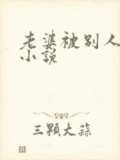 老婆被别人操了小说封面