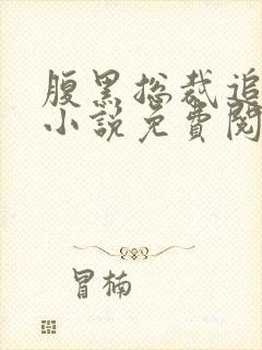 腹黑总裁追妻忙小说免费阅读封面