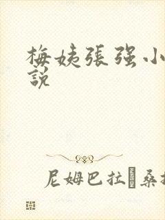 梅姨张强小城小说