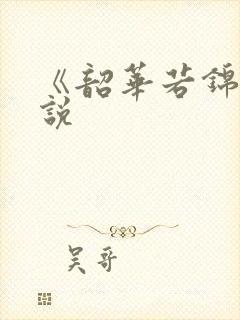 《韶华若锦》小说