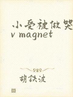 小受被做哭的gv magnet