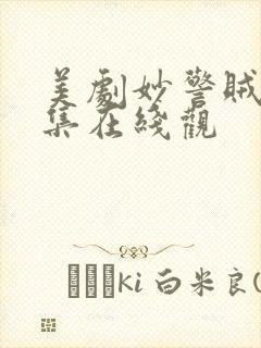 美剧妙警贼探全集在线观