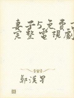 妻子5免费高清完整电视剧