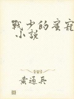 战少的蜜宠娇妻 小说