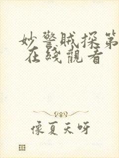 妙警贼探第四季 在线观看