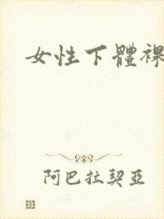 女性下体裸体照
