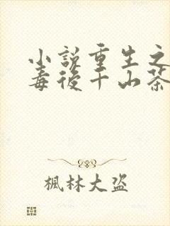 小说重生之将门毒后千山茶客正版