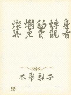 灿烂的转身40集免费观看高清