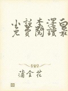 小说李泽白心媛免费阅读最新章节