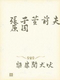 张子萱前夫入狱原因