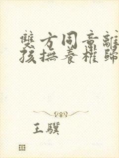 双方同意离婚小孩抚养权归谁