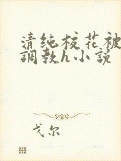 清纯校花被地狱调教h小说