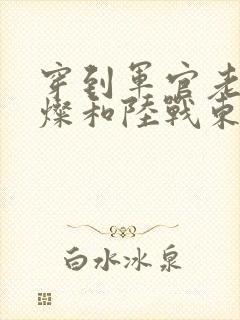 穿到军官老公苏灿和陆战东的小说