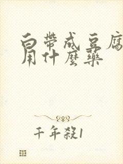 白带成豆腐渣状用什么药