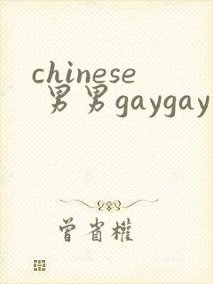 chinese 男男gaygay 网站