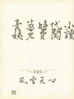 青葱时代小城梅姨免费阅读封面