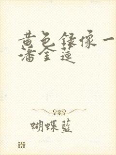 黄色录像一级片潘金莲封面