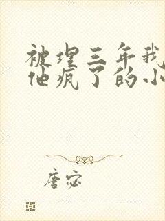 被埋三年我死了他疯了的小说