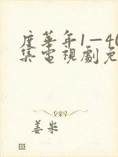 度华年1—40集电视剧免费观看封面