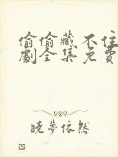 偷偷藏不住电视剧全集免费播放封面