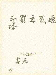 斗罗之武魂御妖塔