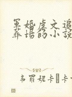 军婚虐文追妻火葬场的小说