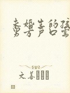 未婚生的孩子上男方户口需要什么封面