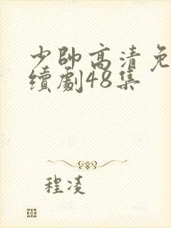少帅高清免费连续剧48集