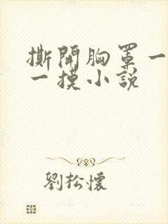 撕开胸罩一边亲一摸小说