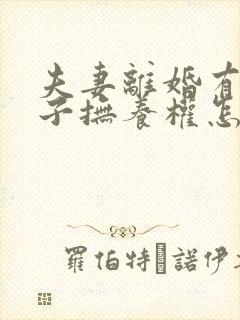 夫妻离婚有俩孩子抚养权怎么判定封面