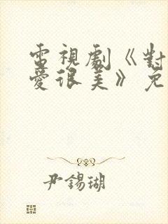 电视剧《对你的爱很美》免费观看