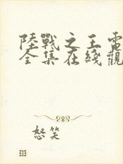 陆战之王电视剧全集在线观看封面