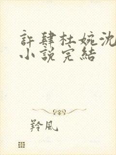 许肆杜婉沈静初小说完结