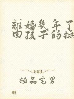 离婚几年了想要回孩子的抚养权