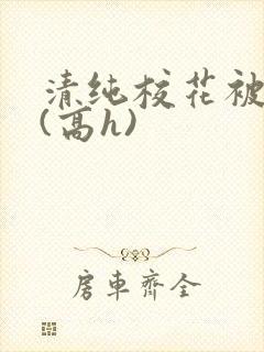 清纯校花被调教(高h)