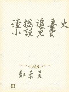 渣总追妻火葬场小说免费