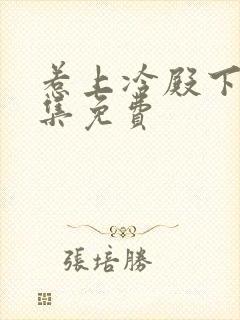 惹上冷殿下30集免费封面