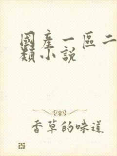 国产一区二区另类小说封面