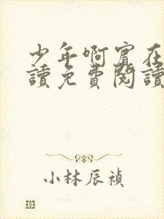 少年啊宾在线阅读免费阅读完整版