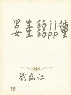 男生的jj插入女生的pp里