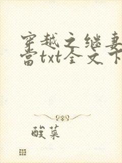 穿越之继妻不好当txt全文下载下载