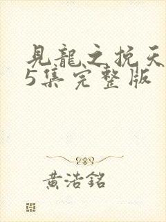 见龙之挽天倾65集完整版