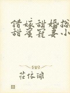 错嫁甜婚总裁的甜蜜宠妻小说