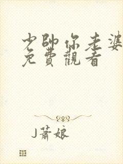 少帅你老婆又跑免费观看封面