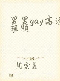 男男gay高清视频