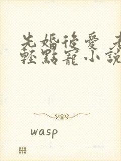 先婚后爱 老公轻点宠小说封面