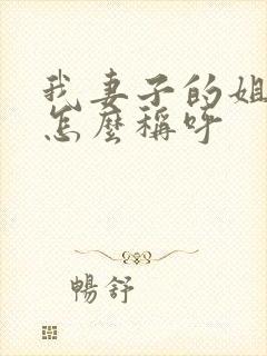 我妻子的姐姐我怎么称呼封面